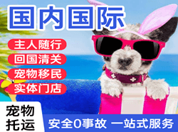长安航空空运国际宠物托运 【国